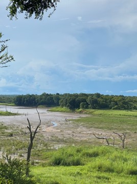 Preserving Biodiversity